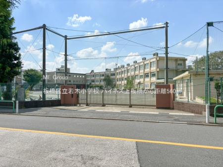 ���ӊ� ���w�Z 560m ���旧��؏��w�Z