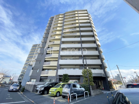 ���n�O�ώʐ^ ����z���ł��Ƒ��̏Ί���P��