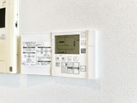 ���̑����� ���g�[�t���œ~���|�J�|�J�B���Ƒ��̌e���̃X�y�[�X�ɂȂ�܂��ˁB