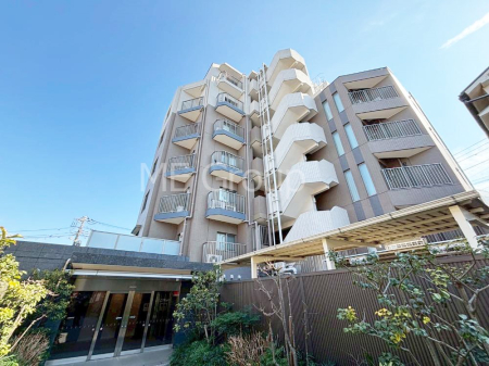 ���n�O�ώʐ^ ��Ƃ肪�Ί�𐶂ސS�n�悢����