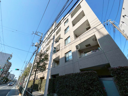 ���n�O�ώʐ^ ����z���ł��Ƒ��̏Ί���P��