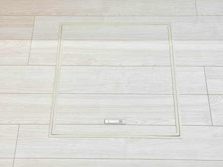 ���̑����� �������[�t���I���p�i�E���p�i�̎��[�ɂ��劈��B