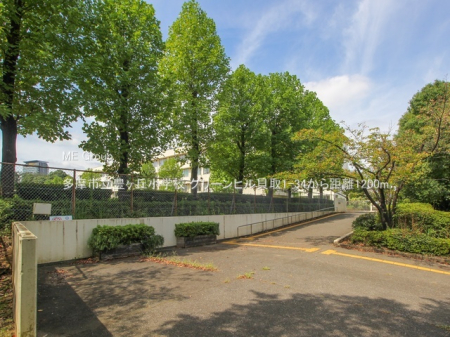 ���ӊ� ���w�Z 1200m �����s���L���u���w�Z