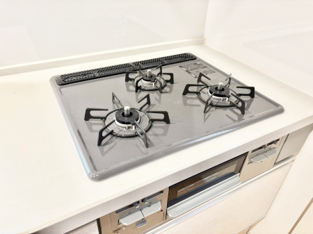 ���̑����� �K�X�R�����͂r���Z���T�[���ځB�Η͒��߂�ł��t���E�����Y����h���ł���܂��B