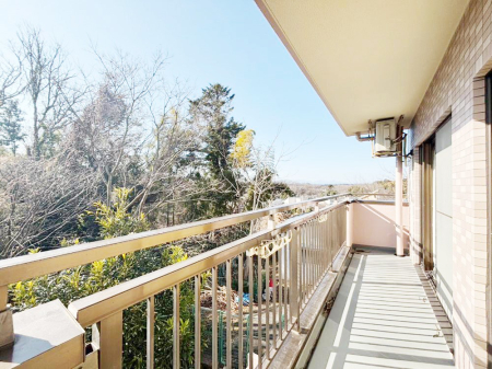 �o���R�j�[ ���ʂ��̗ǂ��o���R�j�[