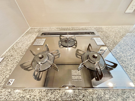 ���̑����� �O���K�X�R�����ł���������C�ɂ͂��ǂ肻��  �@