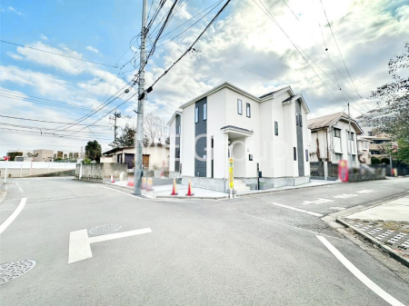 ���n�O�ώʐ^ ��������n�܂�V�����������������܂�