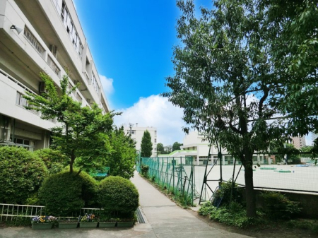 ���ӊ� ���w�Z 678m �������s����񒆊w�Z