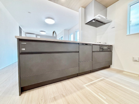 �L�b�`�� �H��@�E�򐅊�E�R�c���R�����Ȃǃf�U�C�������@�\�������˔������V�X�e���L�b�`���I