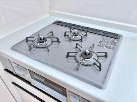 ���̑����� �K�X�R�����͂r���Z���T�[���ځB�Η͒��߂�ł��t���E�����Y����h���ł���܂��B