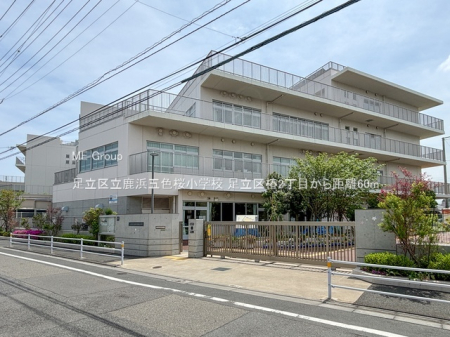 ���ӊ� ���w�Z 60m �����旧���l�ܐF�����w�Z