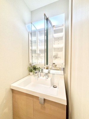 ���̑����� ���̗��ɁA���ϕi��q���p�i�Ȃǂ����[�\�B���ʑ����������ƕۂ��܂��I  