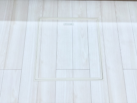 ���̑����� �������[�t���I���p�i�E���p�i�̎��[�ɂ��劈��B