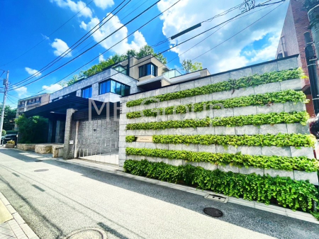 ���n�O�ώʐ^ �O�ρu�\�Q���v�w�k��8���A�u�O���O�v�w�k��9���B��������n�܂�V�����������������܂�