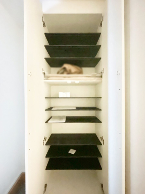 ���[ ���[�͂��鉺�ʔ��̊��p�Ō��։��͂��ł��X�b�L��