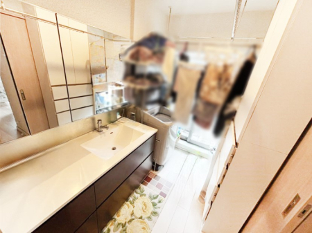 ���ʑ�E���ʏ� ���[�͂Ƌ@�\���ɗD�ꂽ���ʉ��ϑ�