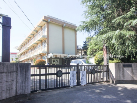 ���ӊ� ���w�Z 1800m ��z�s����z��ꏬ�w�Z