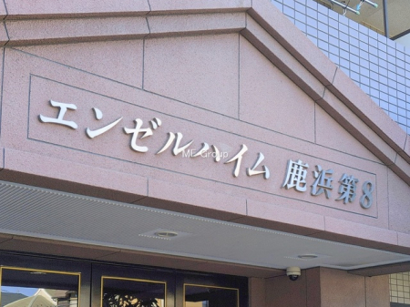 �G���g�����X -