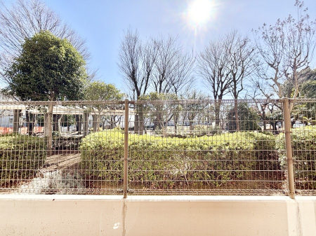 ���̑� ���z�̌b�݂�������ꂻ���I����������̒��]�ł��B