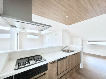 �L�b�`�� �H��@�E�򐅊�E�R�c���R�����Ȃǃf�U�C�������@�\�������˔������V�X�e���L�b�`���I