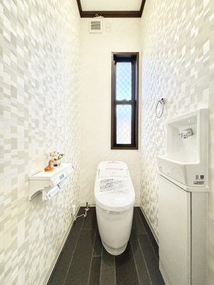 �g�C�� ���C�p����������A���邭�����ȃE�H�V�����b�g�g�C���B����t���ł��I  