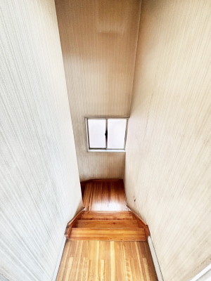 ���̑����� ����������̂Ŗ��邢���������������݂܂�