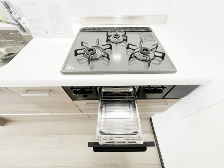 ���̑����� �O���K�X�R�����ł���������C�ɂ͂��ǂ肻��  