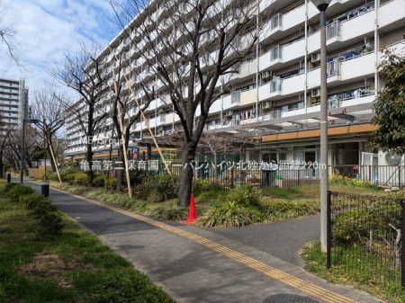 ���ӊ� �c�t���E�ۈ牀 220m �T�����ۈ牀