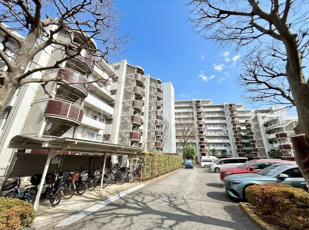 ���n�O�ώʐ^ ��������n�܂�V�����������������܂�