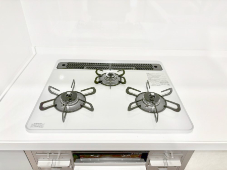 ���̑����� �K�X�R�����͂r���Z���T�[���ځB�Η͒��߂�ł��t���E�����Y����h���ł���܂��B