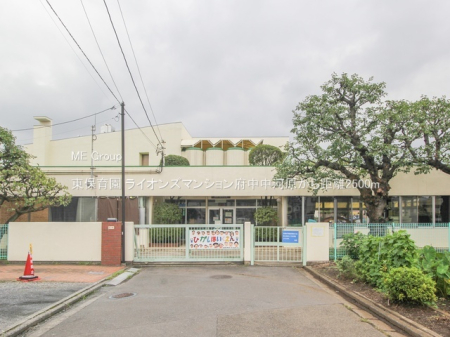 ���ӊ� �c�t���E�ۈ牀 2500m ���ۈ牀