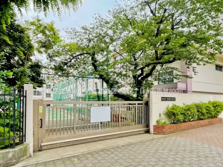 ���ӊ� ���w�Z 800m �L���旧�r�܏��w�Z