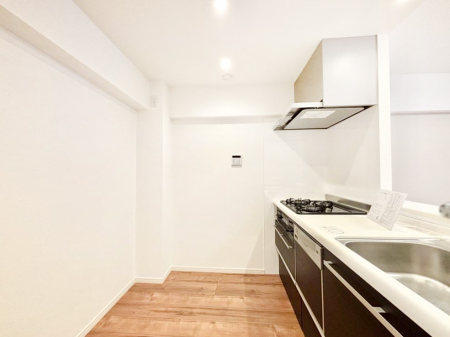 �L�b�`�� ��Ƃ肠��L�b�`���X�y�[�X�ł�������H��̌�Еt�����X���[�Y�ɁI