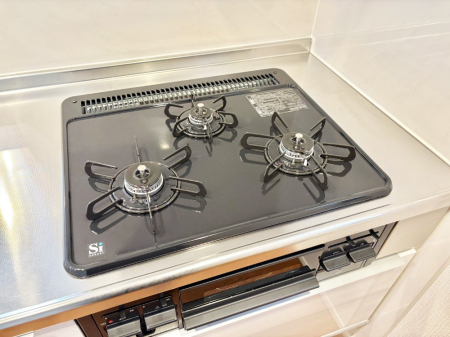 ���̑����� �K�X�R�����͂r���Z���T�[���ځB�Η͒��߂�ł��t���E�����Y����h���ł���܂��B