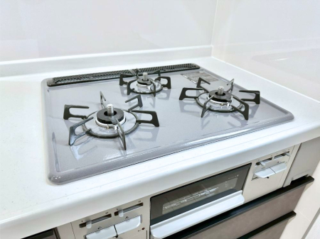 ���̑����� �K�X�R�����͂r���Z���T�[���ځB�Η͒��߂�ł��t���E�����Y����h���ł���܂��B