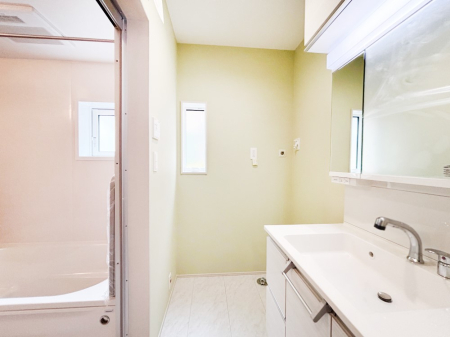 ���̑� �_�炩�Ȓ��̌����������鏬�����������ʎ�