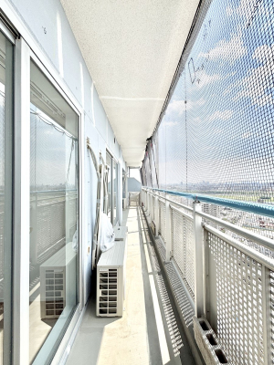 �o���R�j�[ �z�˂������Ղ�~�蒍���o���R�j�[