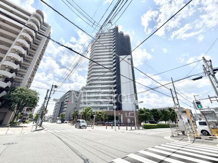 ���n�O�ώʐ^ ��������n�܂�V�����������������܂��B