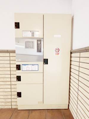 ���̑� �W���|�X�g