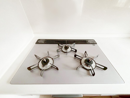 ���̑����� �O���K�X�R�����ł���������C�ɂ͂��ǂ肻��  