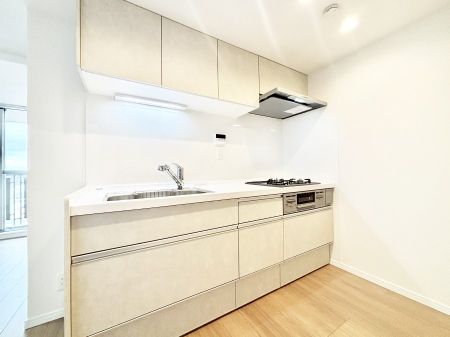 �L�b�`�� ��Ƃ肠��L�b�`���X�y�[�X�ł�������H��̌�Еt�����X���[�Y�ɁI