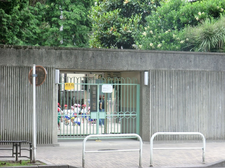 ���ӊ� �c�t���E�ۈ牀 800m �����@�c�t��