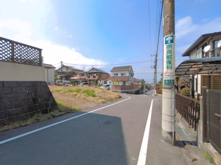 ���n�y�n�ʐ^ -