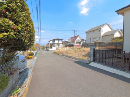 ���n�y�n�ʐ^ -