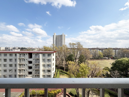 ���̑� �o���R�j�[����̒��]�ł�