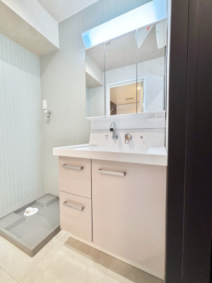 ���ʑ�E���ʏ� ������������ʉ��ώ��Œ��̐g�x�x�����K  