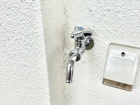 ���̑����� �o���R�j�[����������΂��|�����y�X�ł��B    