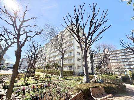 ���n�O�ώʐ^ ��Ƃ肪�Ί�𐶂ސS�n�悢���� 