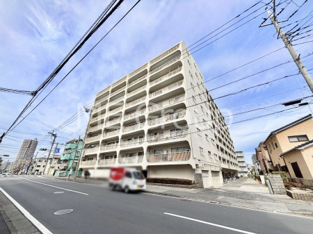 ���n�O�ώʐ^ ��������n�܂�V�����������������܂��I