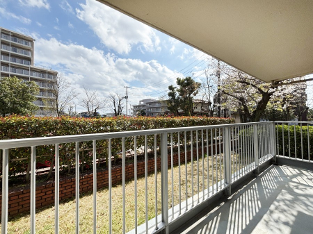 �o���R�j�[ ���ʂ��̗ǂ��o���R�j�[